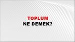 Toplum 