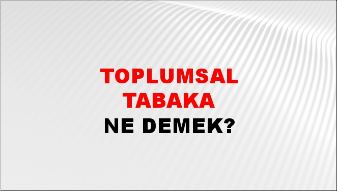 Toplumsal Tabaka 