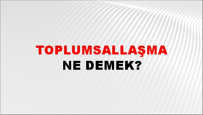 Toplumsallaşma 