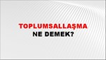 Toplumsallaşma 