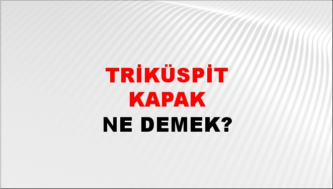 Triküspit Kapak 