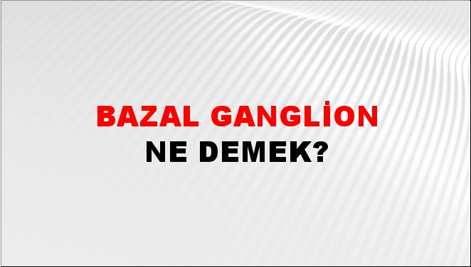 Bazal Ganglion 