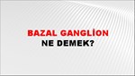 Bazal Ganglion 