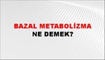 Bazal Metabolizma 